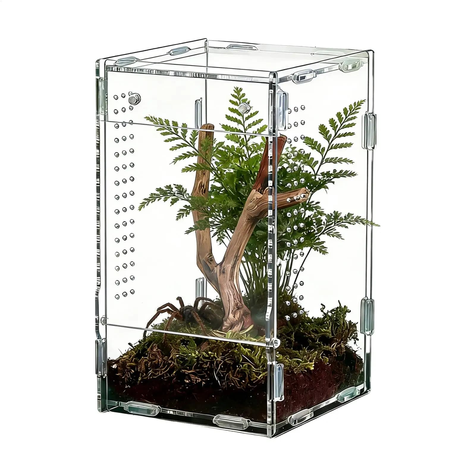 Acrylic Reptile Terrarium Enclosure Habitat