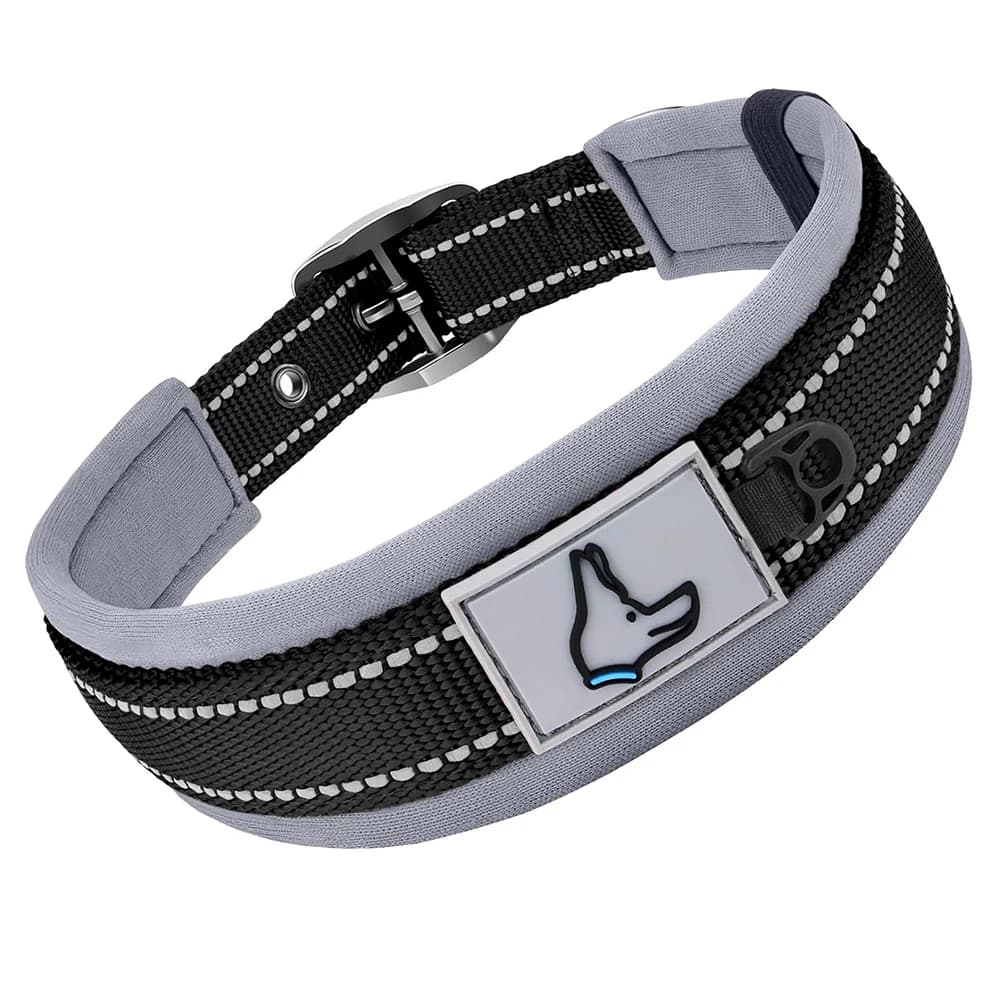 Padded Reflective Dog Collar with Metal Buckle
