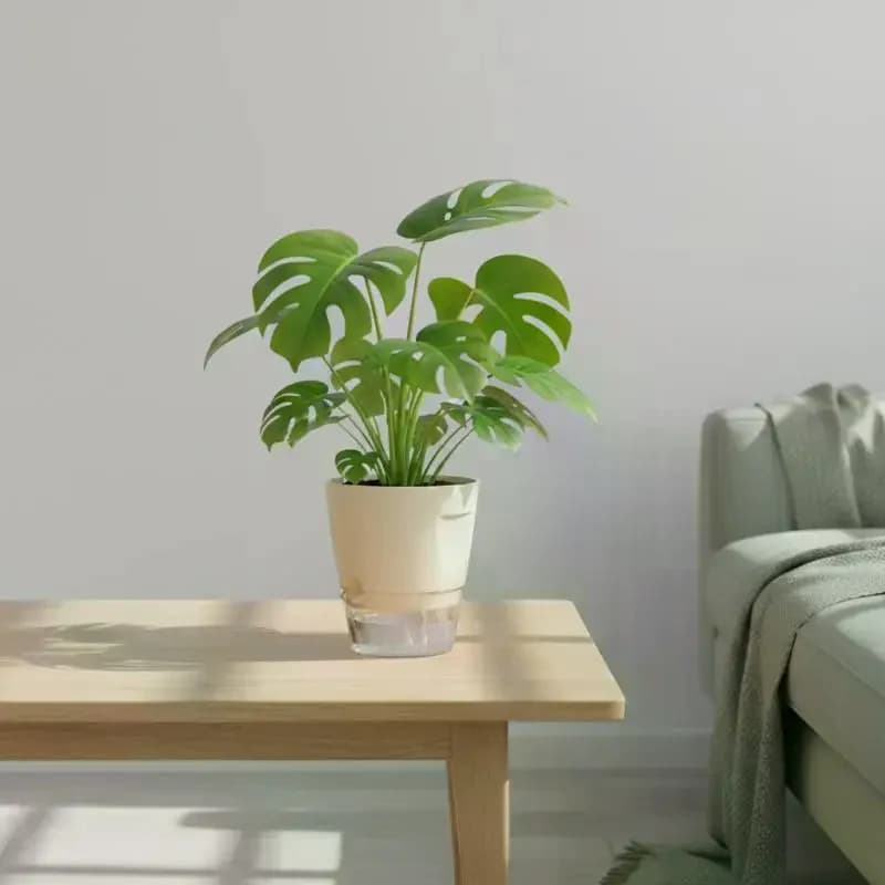 Self-Watering Plant Pot with Water Level Indicator