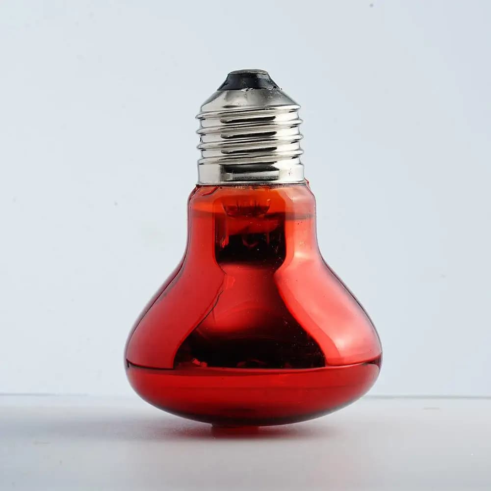 Reptile Heat Lamp Bulb UVA Day Night 25-100W