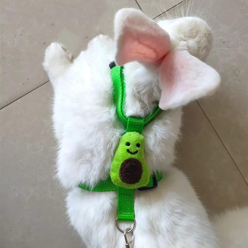 Small Animal Harness and Leash Set