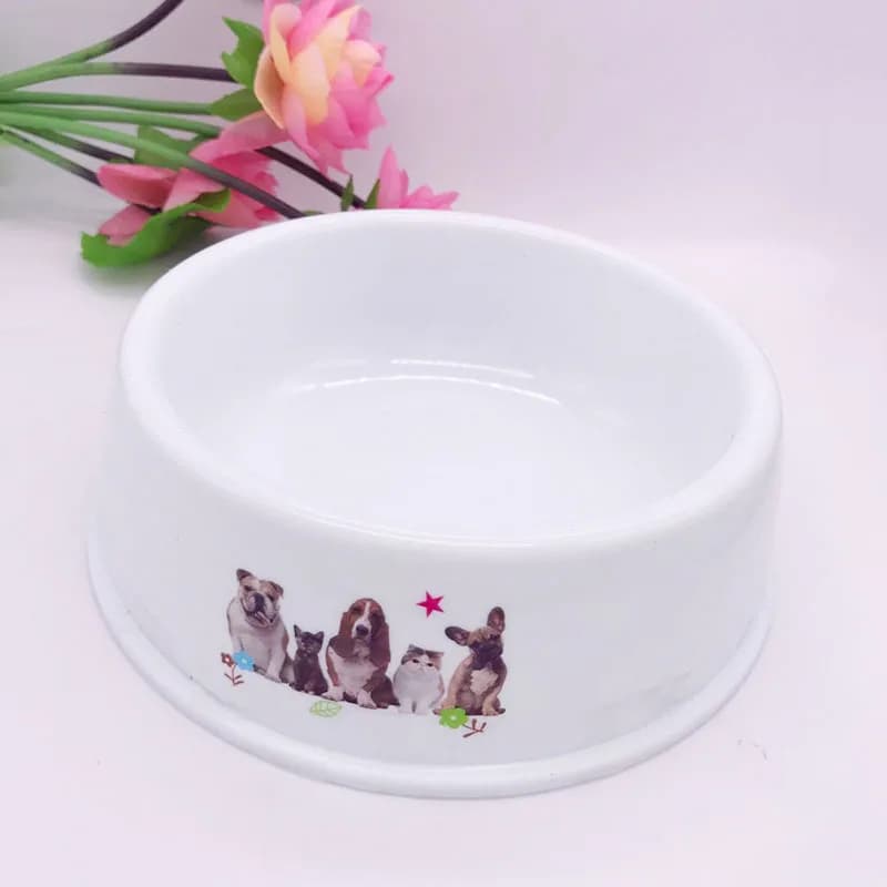 Large Capacity Dog and Cat Food Bowl