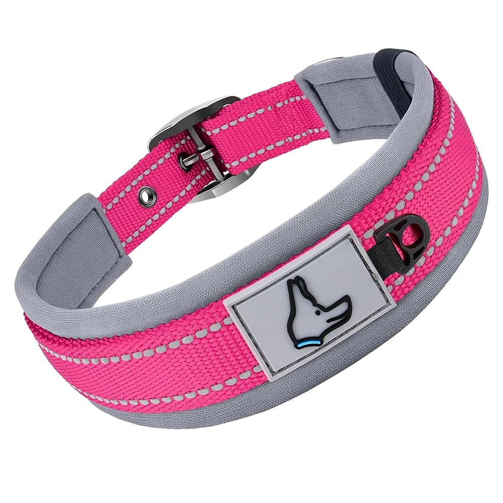 Padded Reflective Dog Collar with Metal Buckle