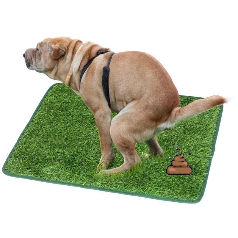 Washable Dog Grass Mat