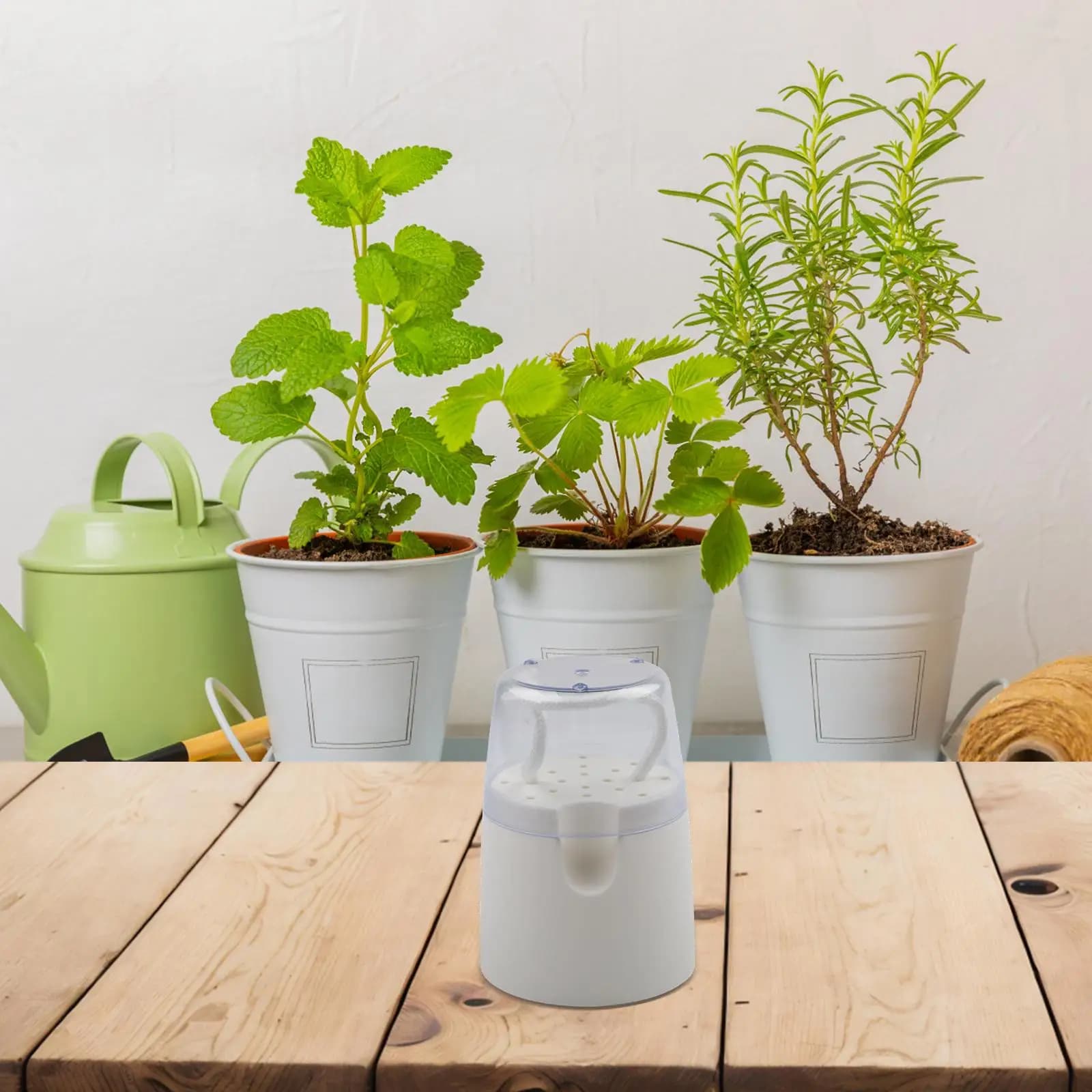 Self-Watering Plant Pot with Cotton Rope