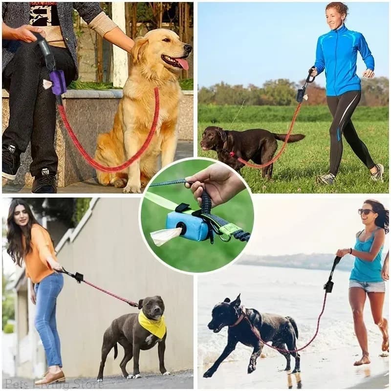 Pet Waste Bag Dispenser