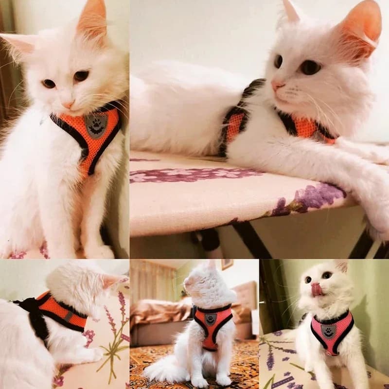 Adjustable Mesh Pet Harness Vest with Leash