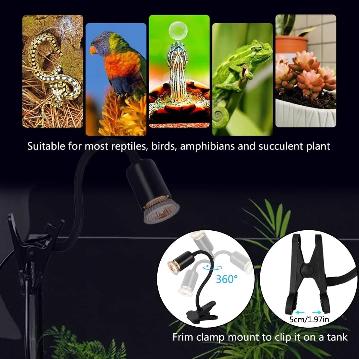 Reptile Heating Lamp with Rotatable Clip