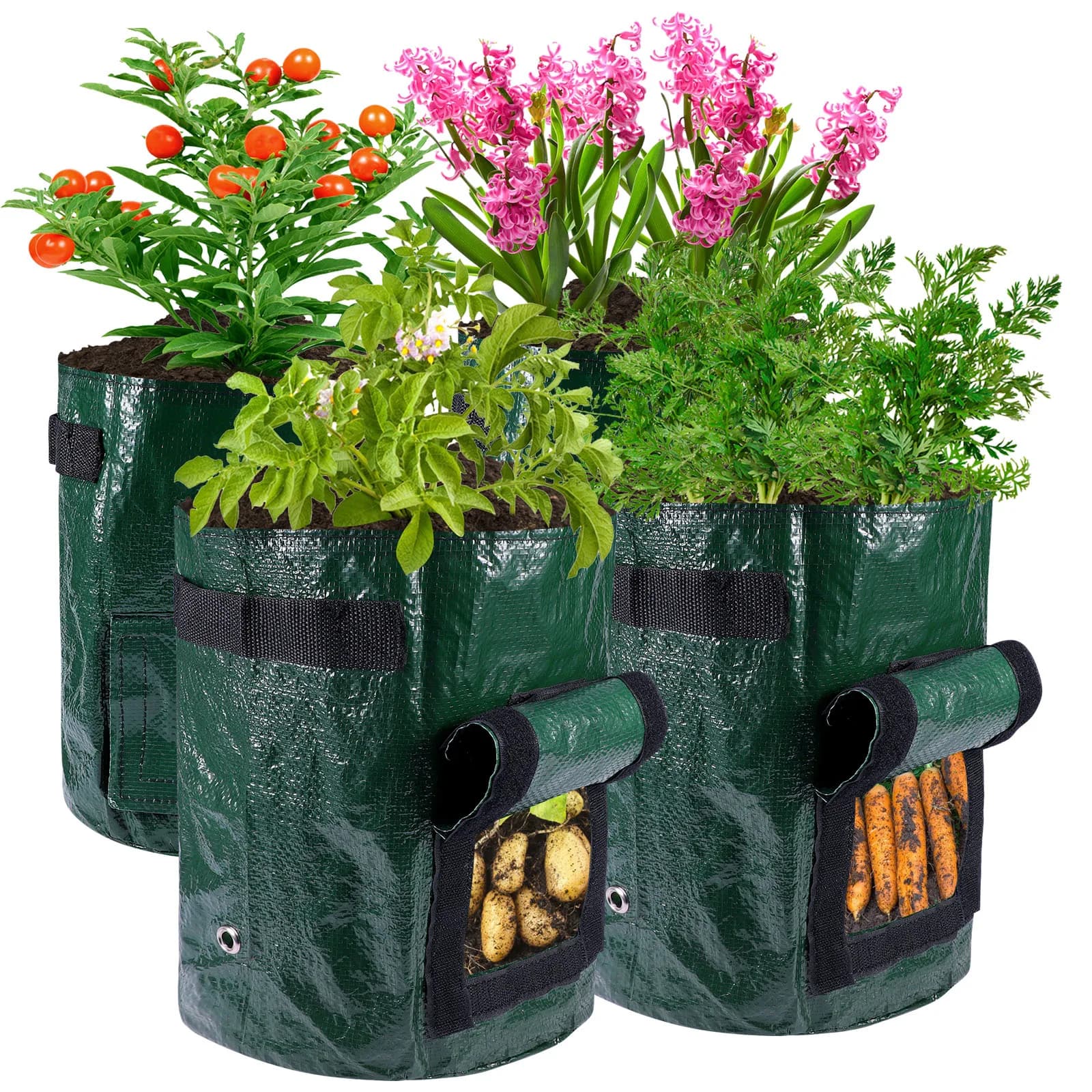Potato Grow Bags With Harvest Window