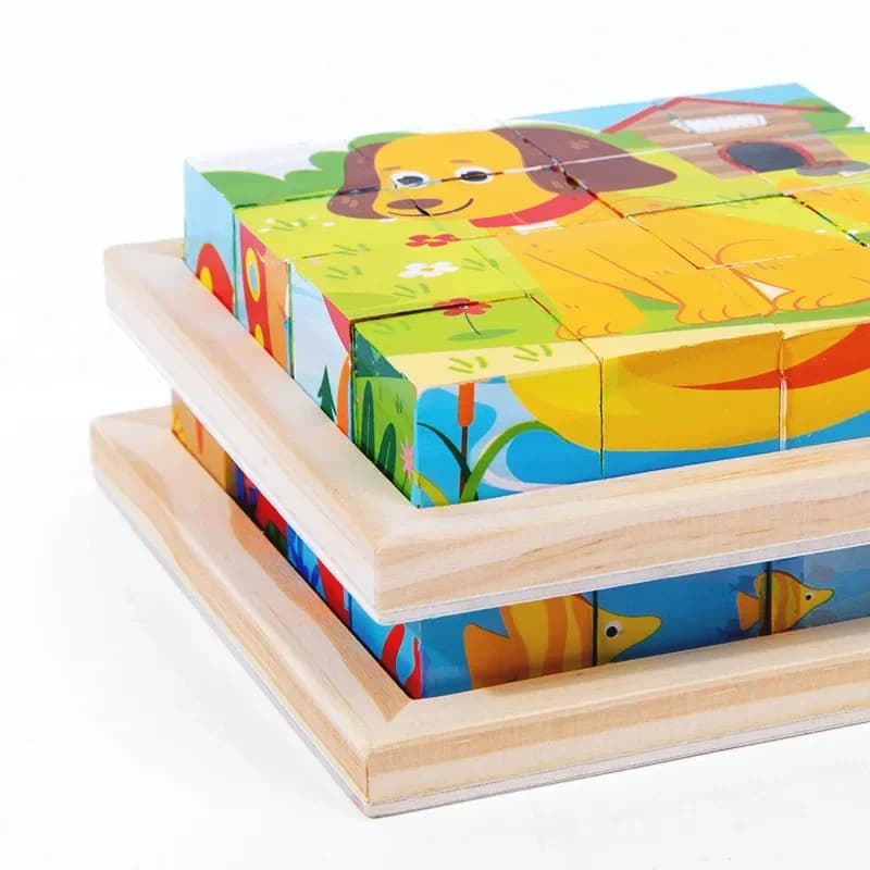 Wooden Six-Sided Puzzle Blocks