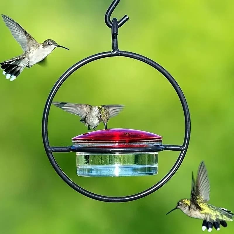Circular Hanging Hummingbird Feeder