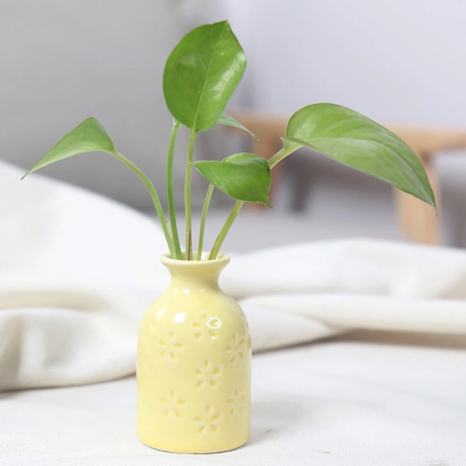 Ceramic Flower Vase for Plants