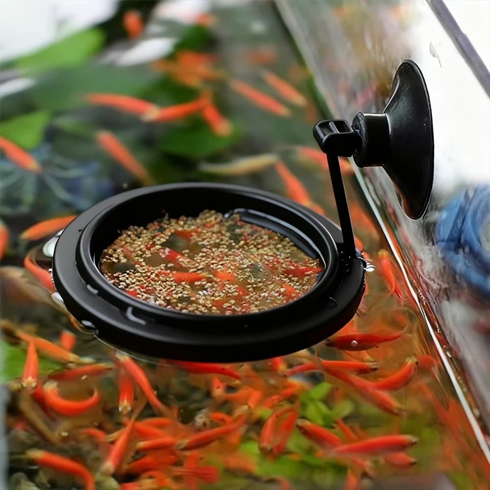 Aquarium Floating Feeding Ring with Suction Cup