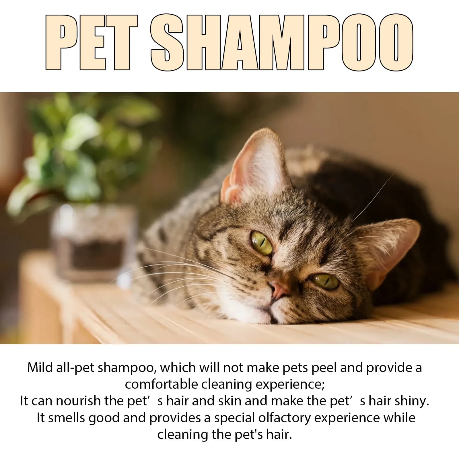 Pet Shampoo for Cats and Dogs