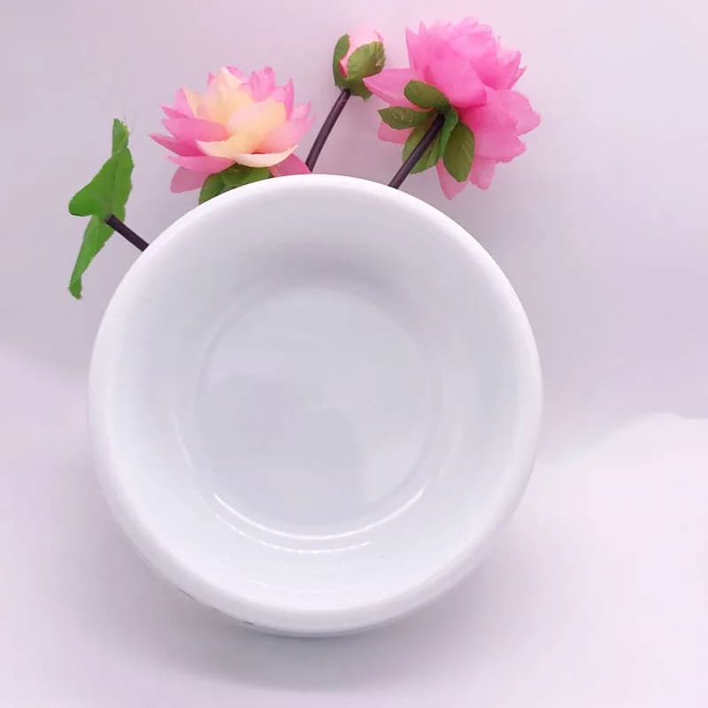 Large Capacity Dog and Cat Food Bowl