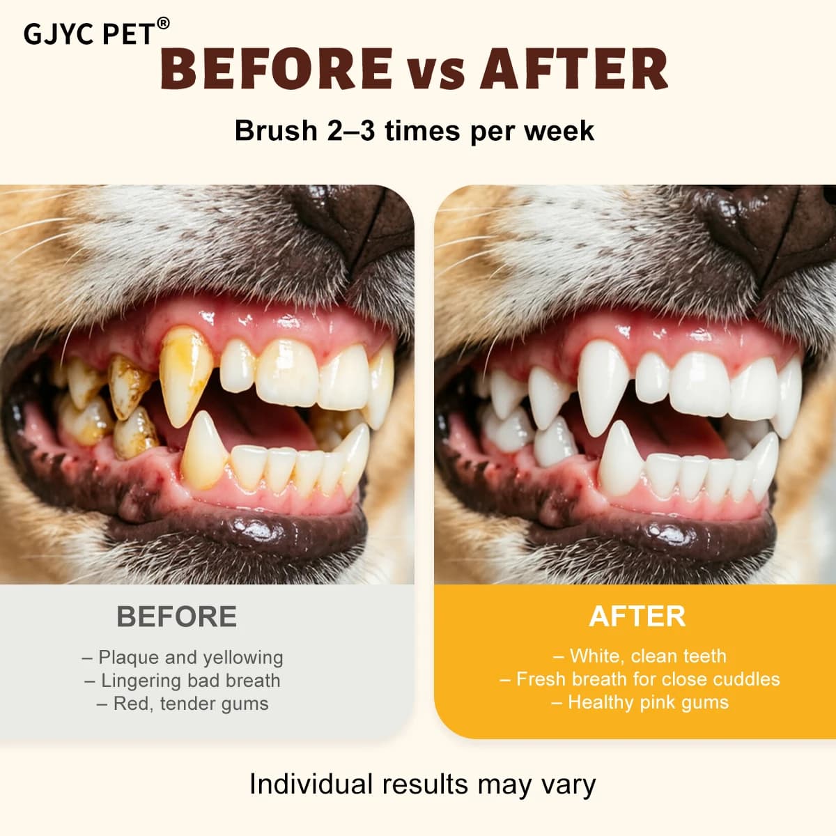 Dog Toothpaste Dental Care Kit Peanut Butter