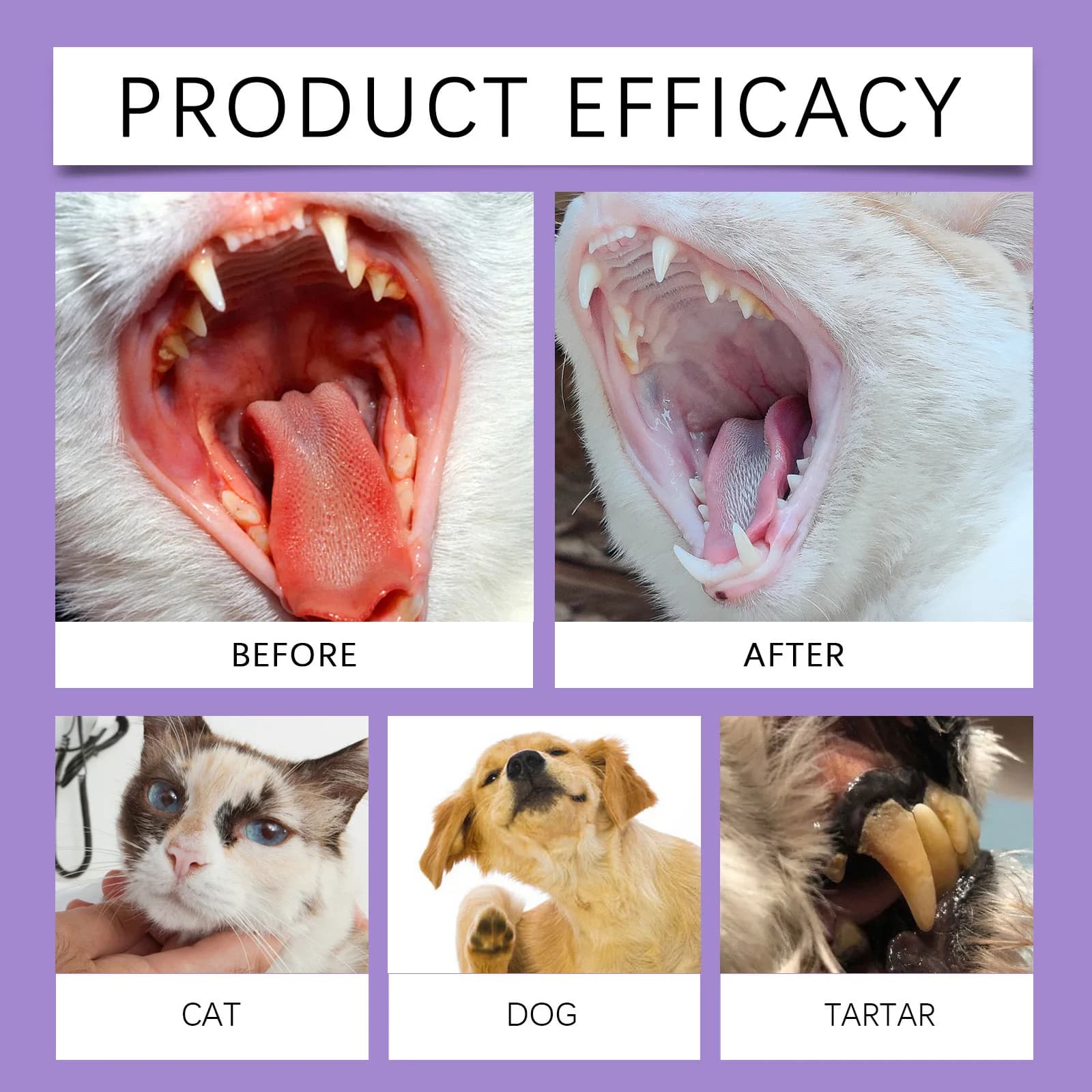 Dog & Cat Breath Freshening Spray