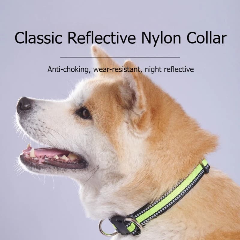 Reflective Nylon Dog Collar with Double D Ring