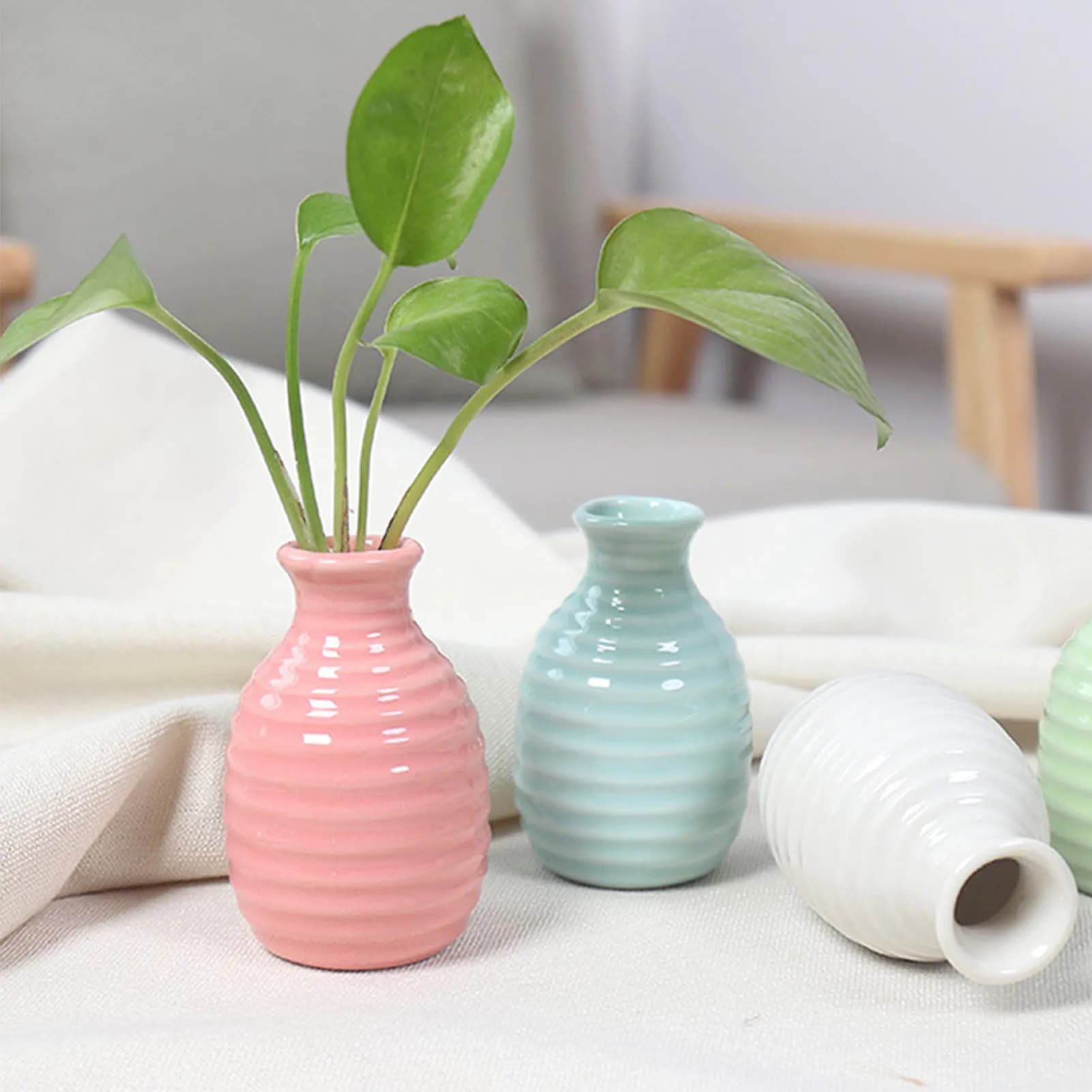 Ceramic Flower Vase for Plants