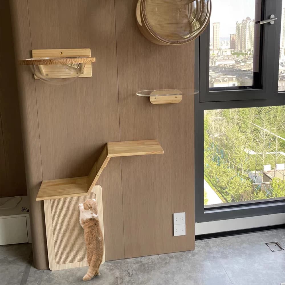 Wall-Mounted Cat Climber Set with Shelves