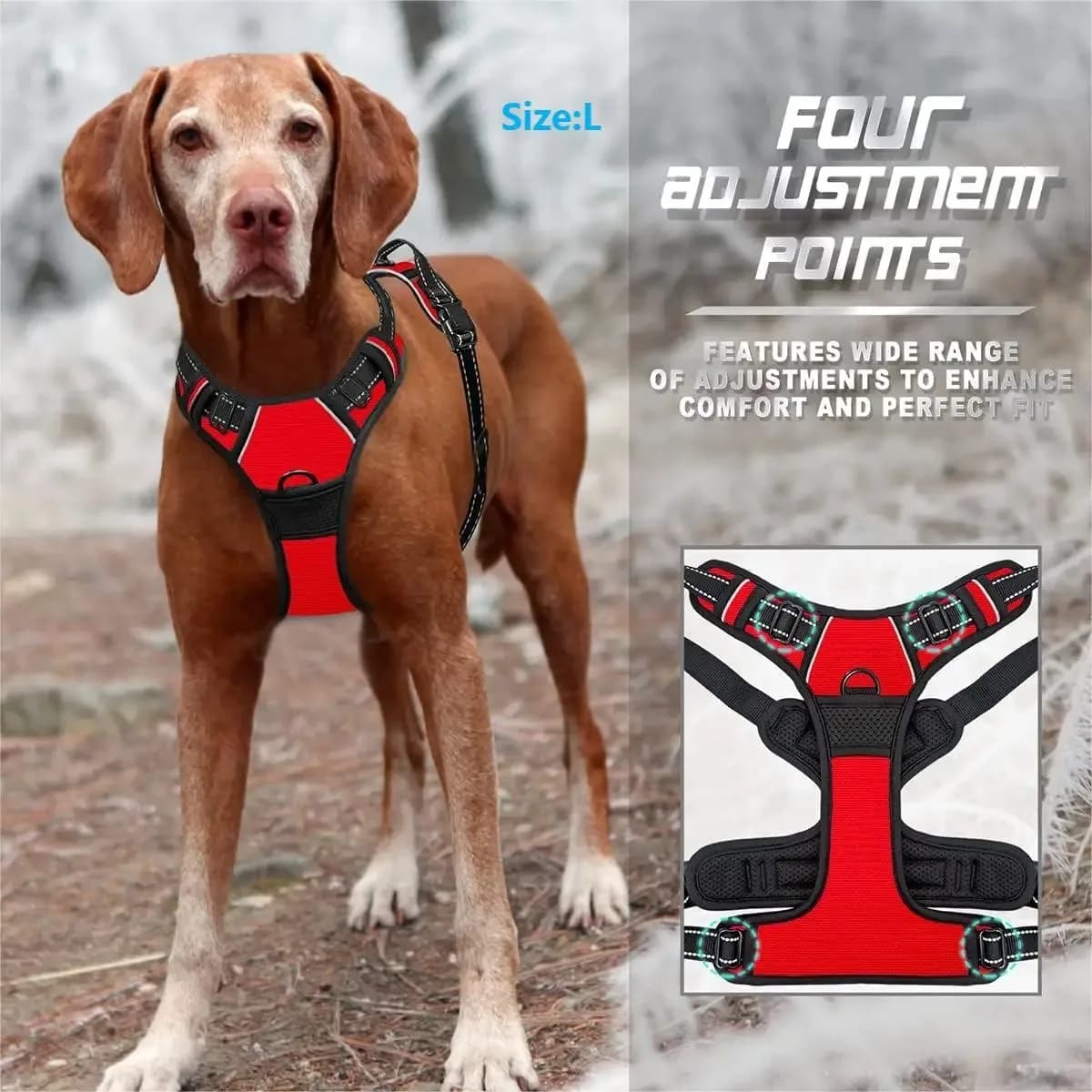 Dog Collar Harness and Leash Set