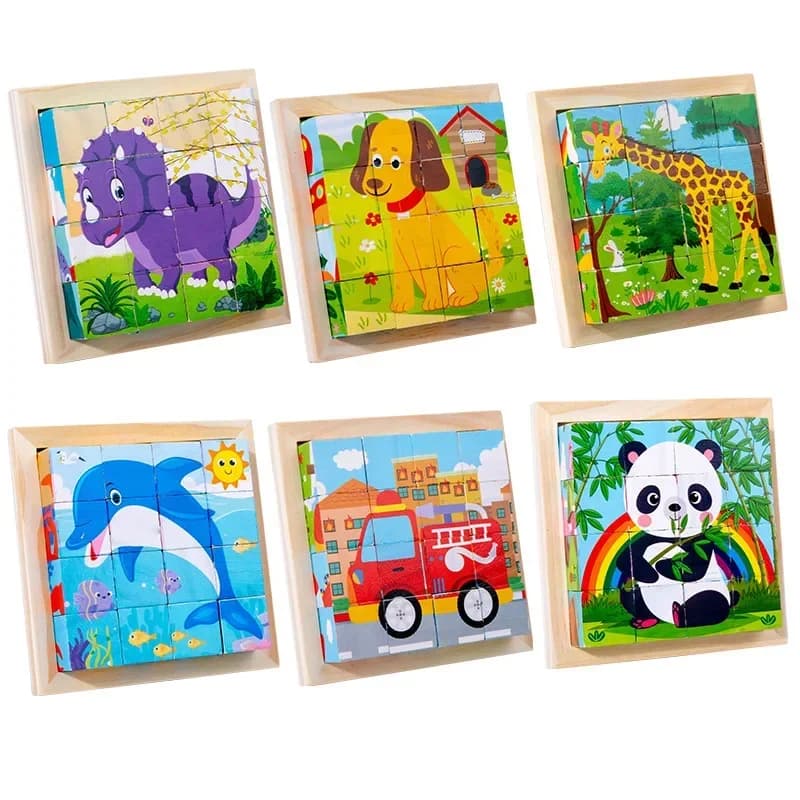Wooden Six-Sided Puzzle Blocks