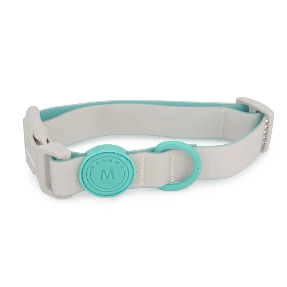 Candy Color Medium Pet Collar with Leash