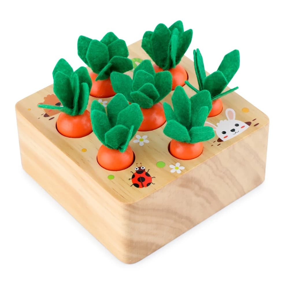 Montessori Wooden Geometry Puzzle Toys