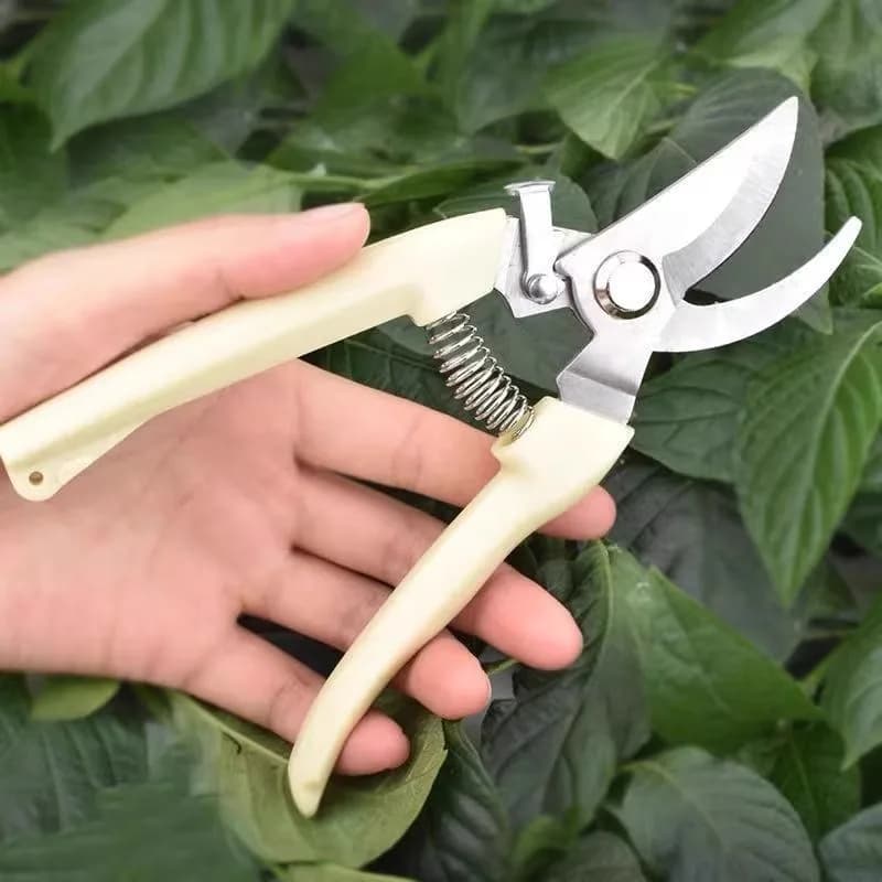 Power Pruning Shears for Fruit Trees