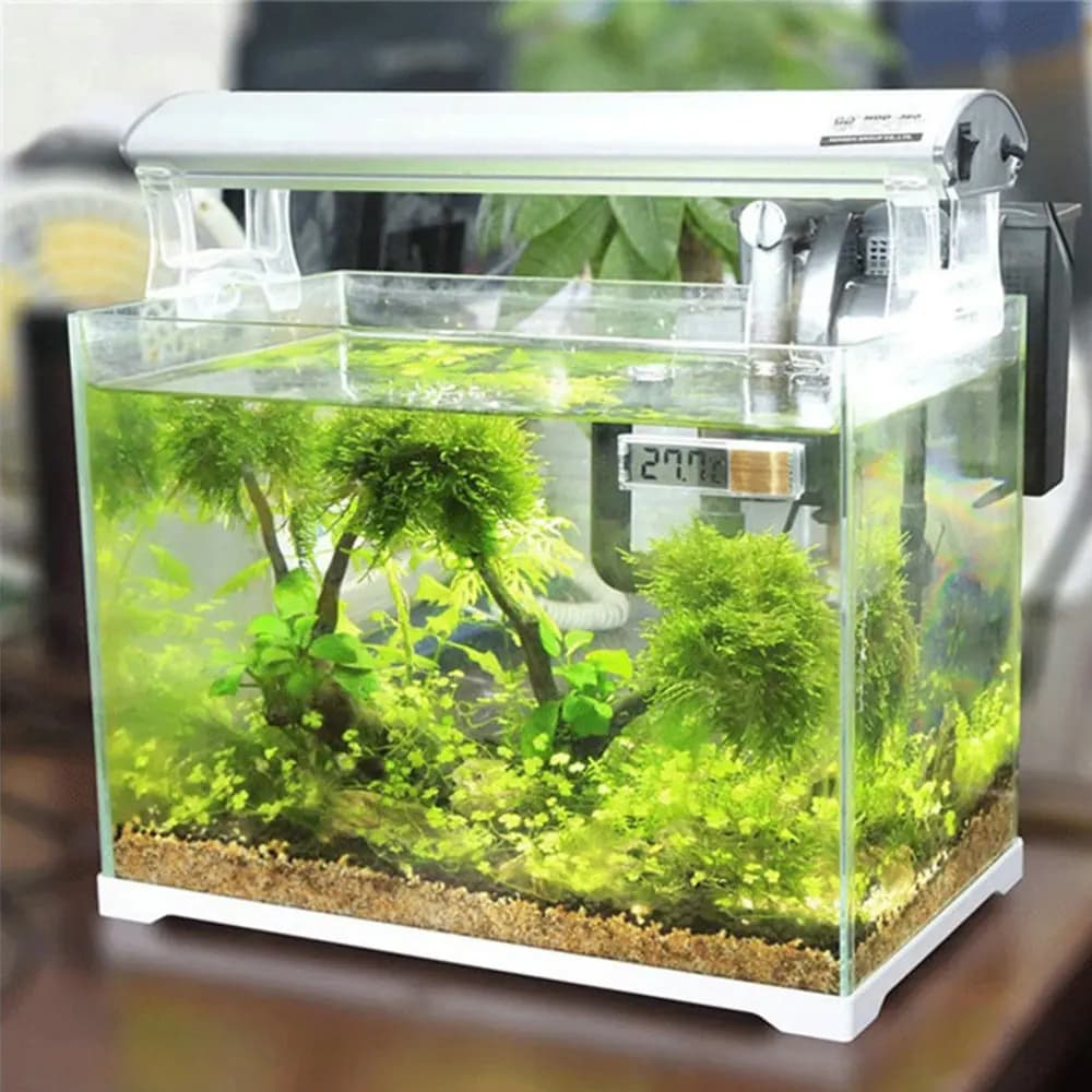 Electronic Aquarium LCD Thermometer