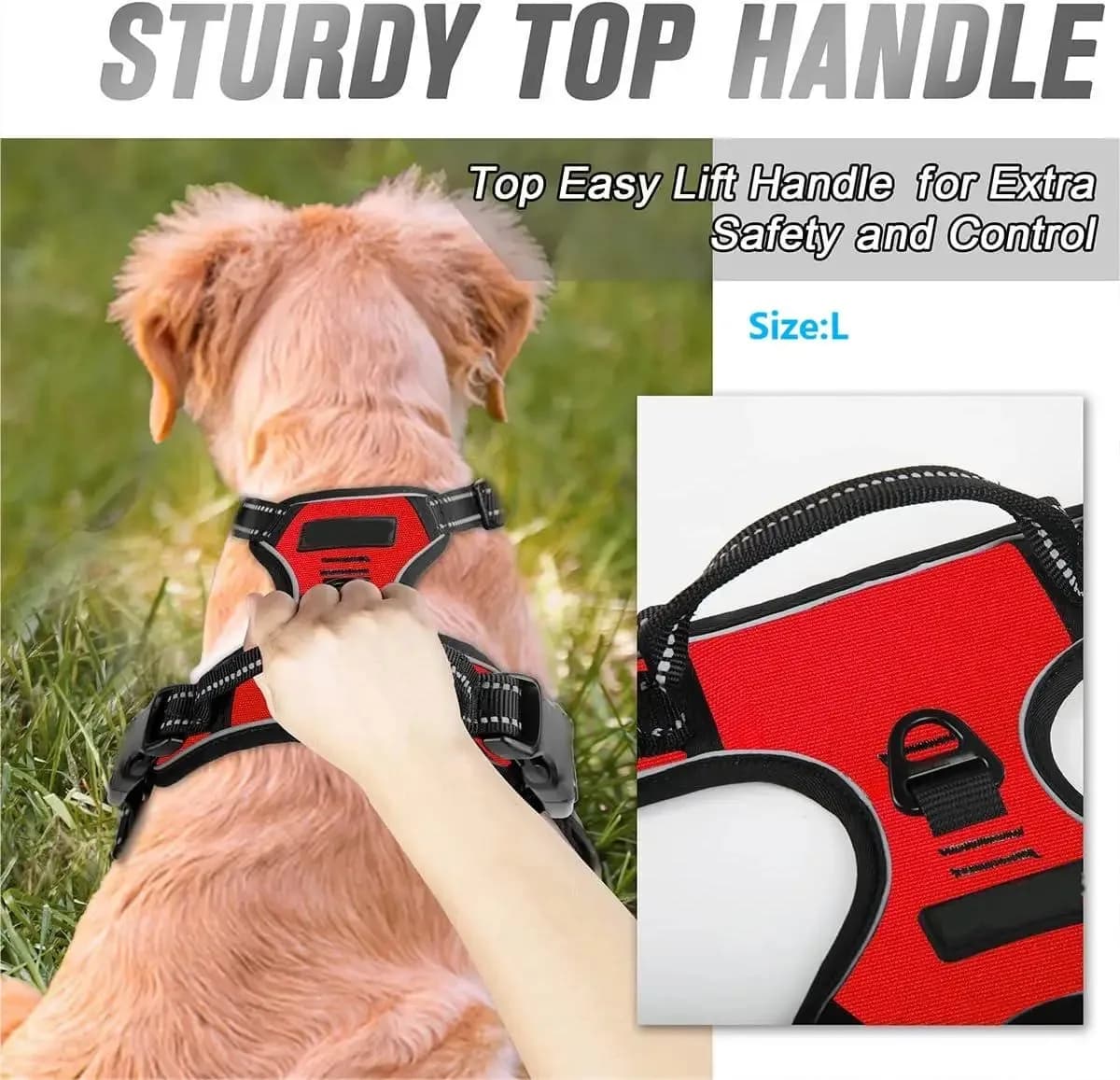 Dog Collar Harness and Leash Set