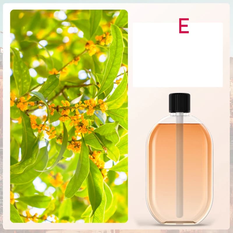 Automatic Fragrance Diffuser with Light