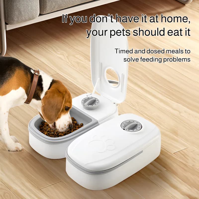 Automatic Pet Feeder With Separate Dry Wet Bowls