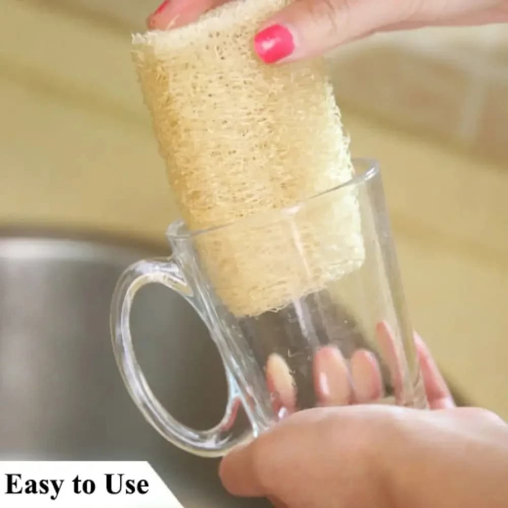 Natural Loofah Sponge