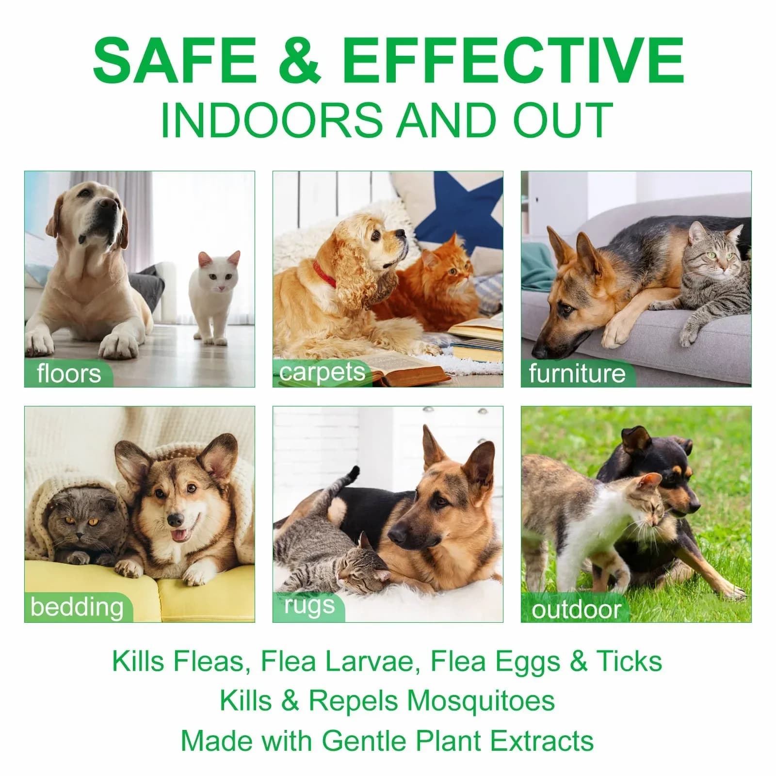 Natural Flea and Tick Spray for Dogs and Cats