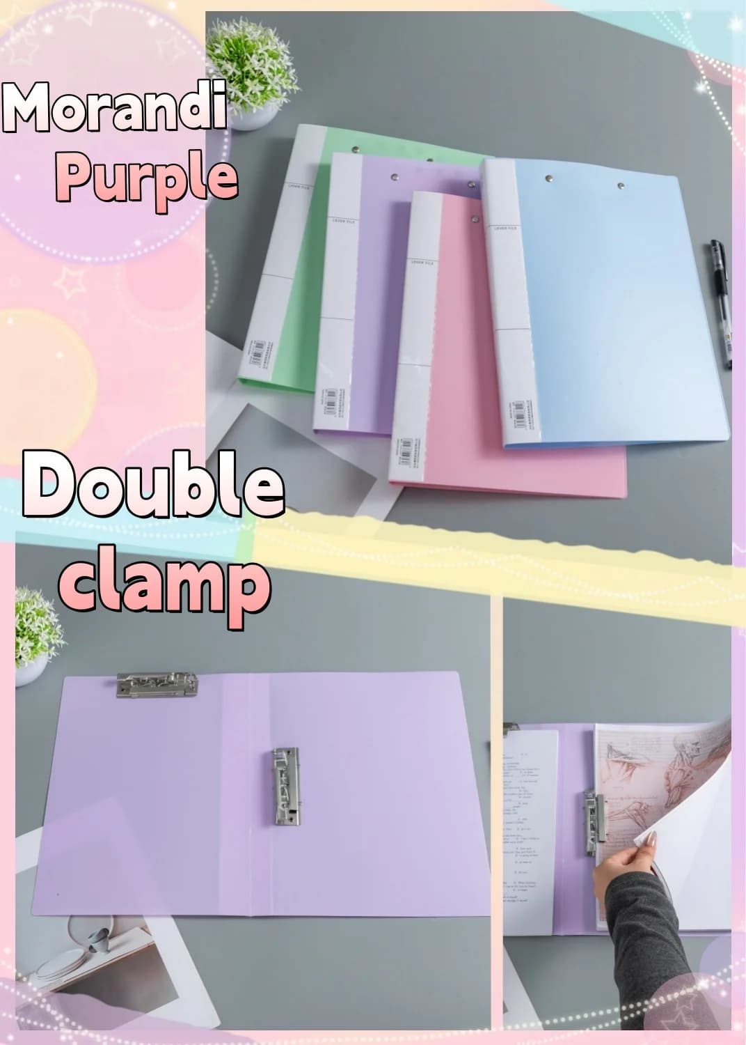 Double Compartment A4 File Folder with Press Clip
