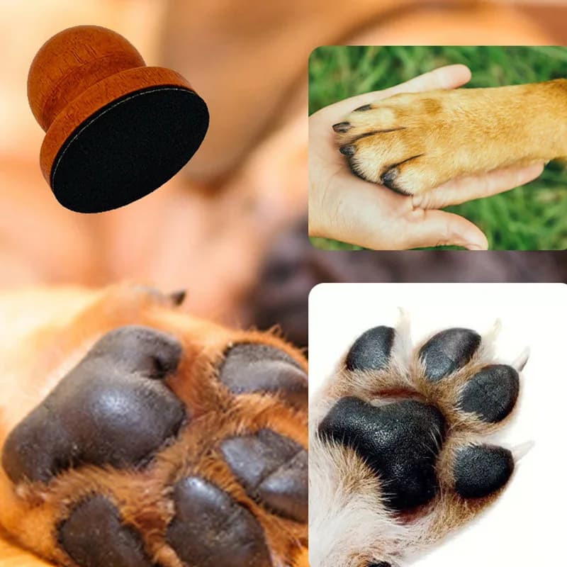 Dog Nail File Grinding Tool