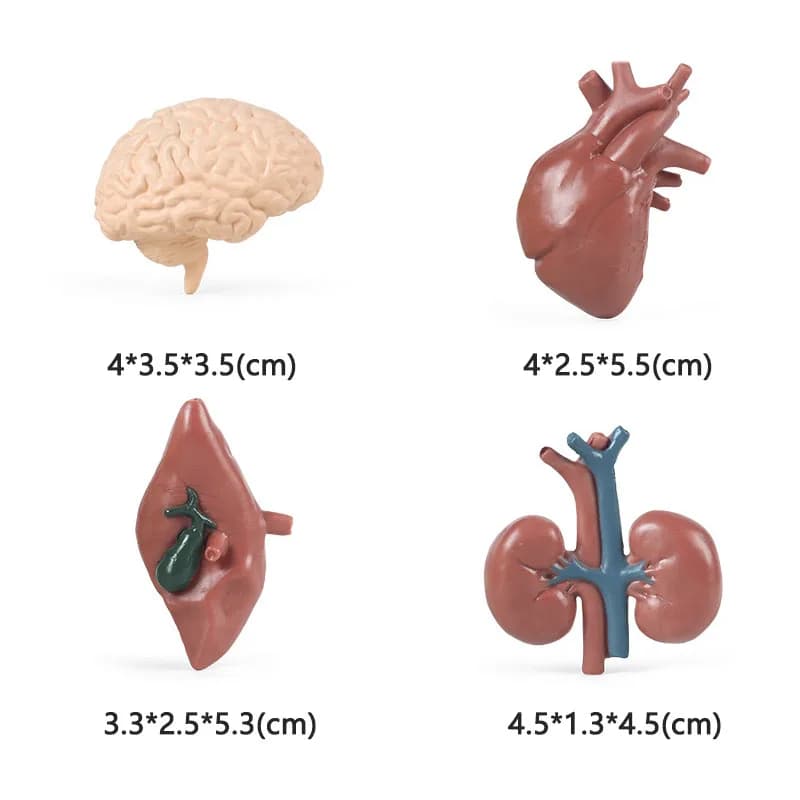 Realistic Animal Figurine Set