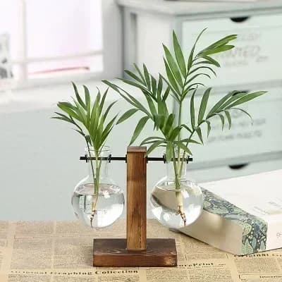 Hydroponic Plant Terrarium with Wooden Stand