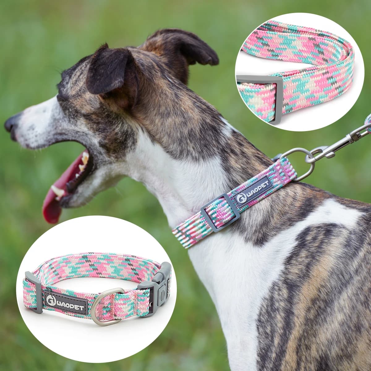 Durable Dog Collar with Leash for Training