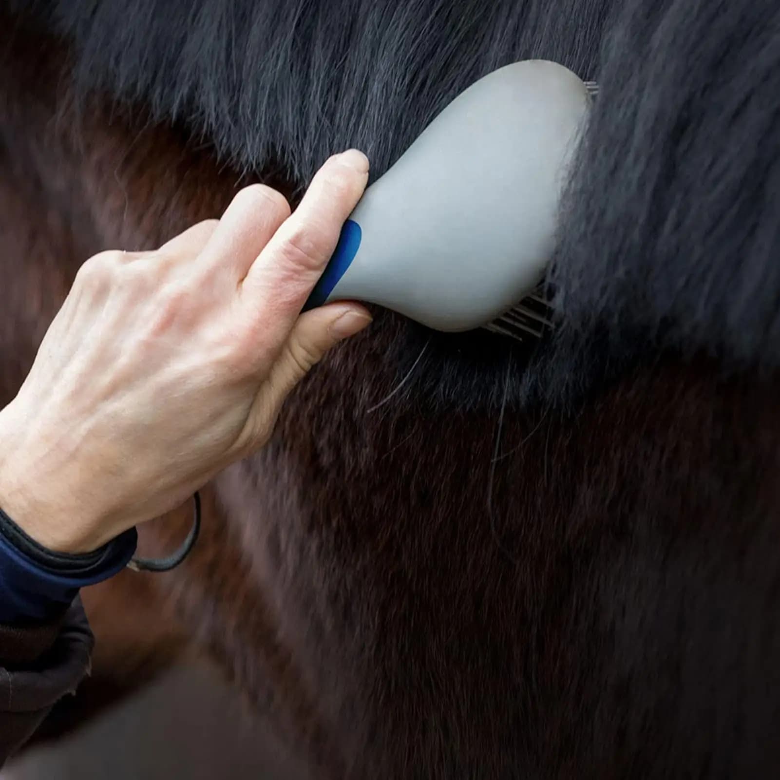 Horse Mane and Tail Grooming Brush