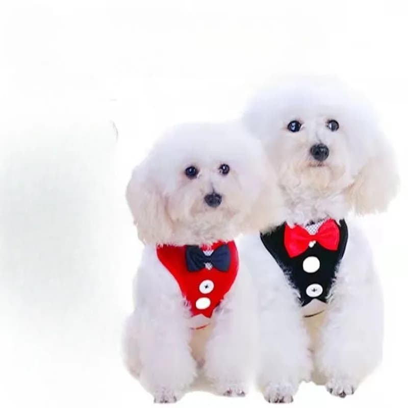 Adjustable Pet Harness with Bow Tie Leash