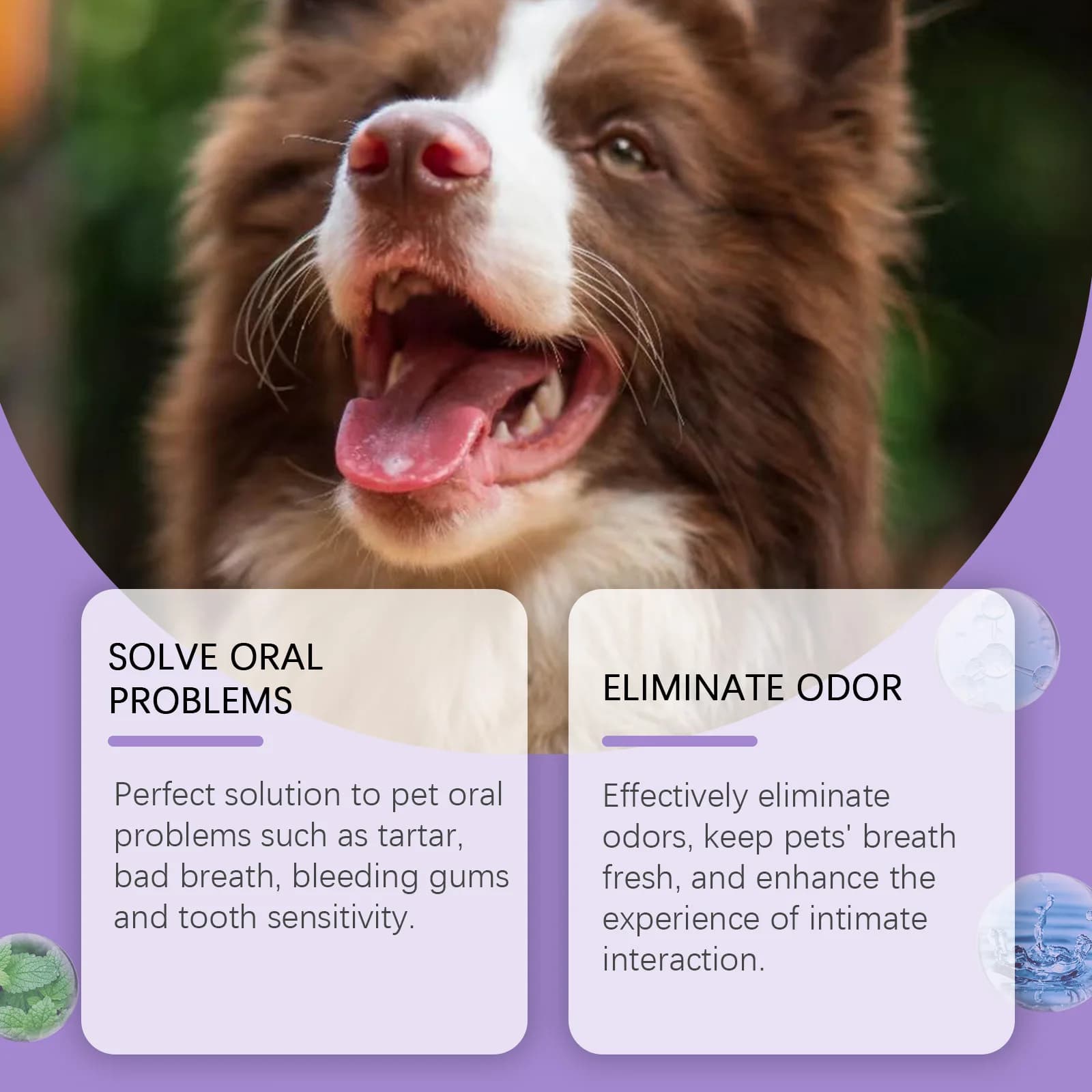 Dog & Cat Breath Freshening Spray
