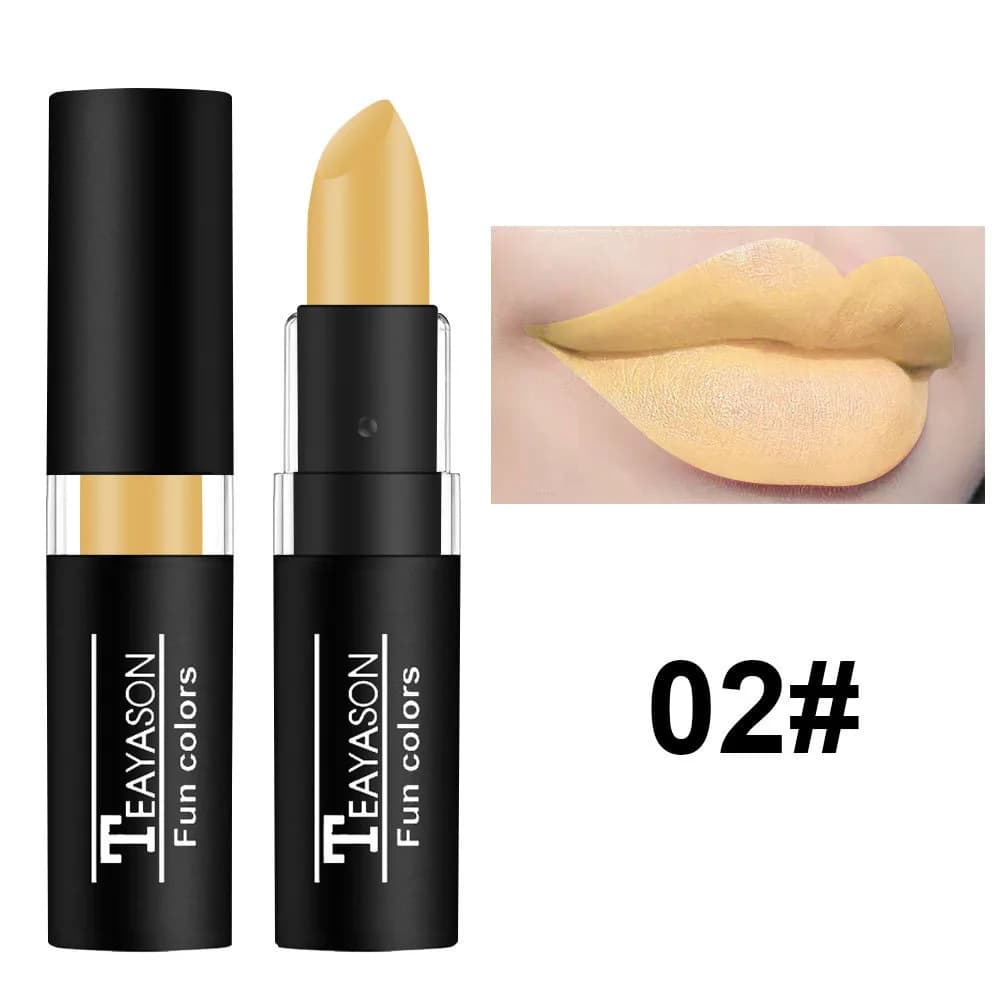 12 Color Waterproof Matte Lipstick Palette