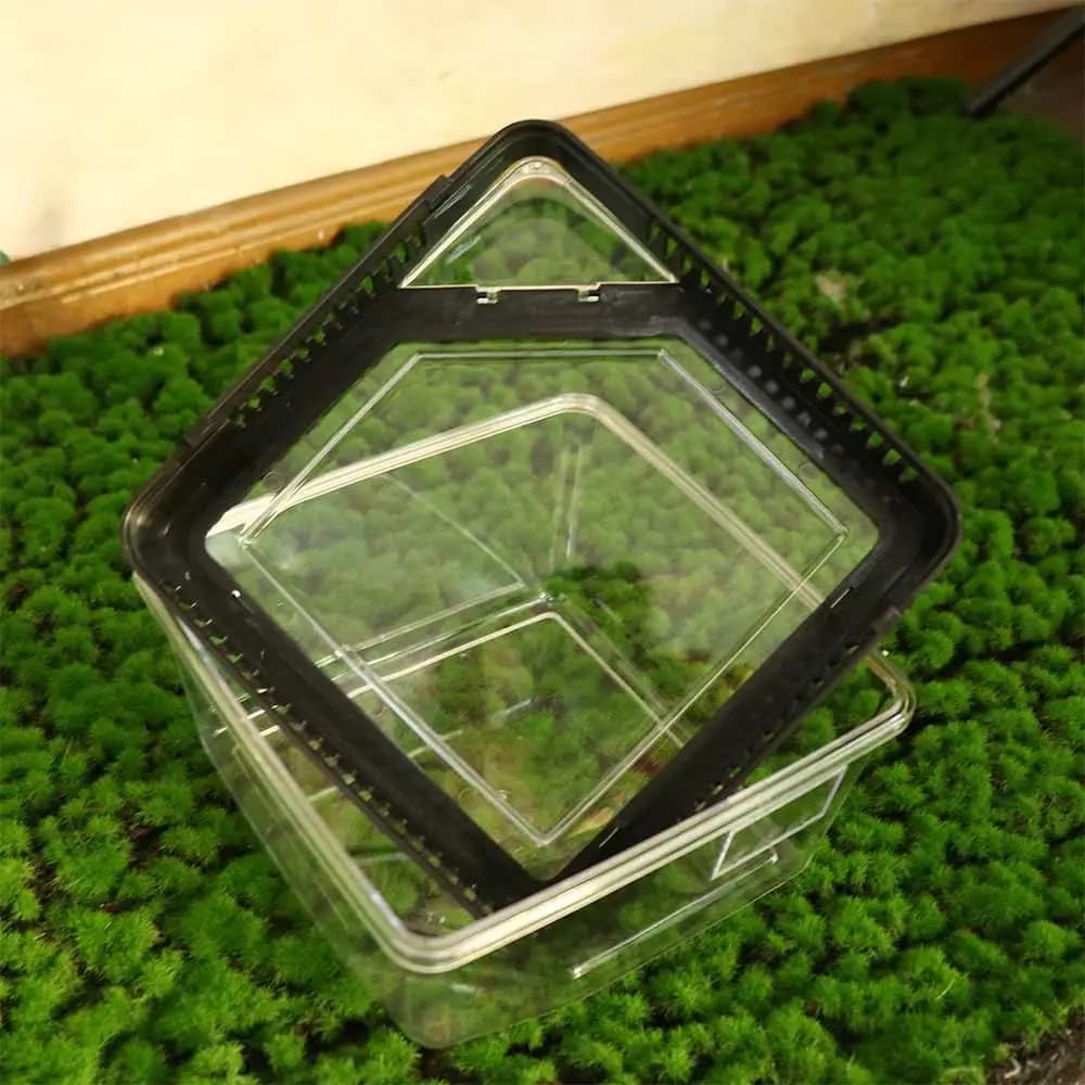 Spider Reptile Terrarium Tank Plastic Breeding Box