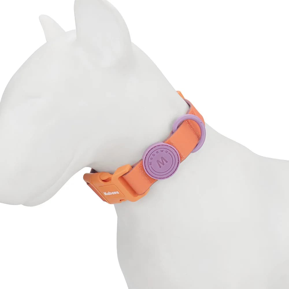 Candy Color Medium Pet Collar with Leash