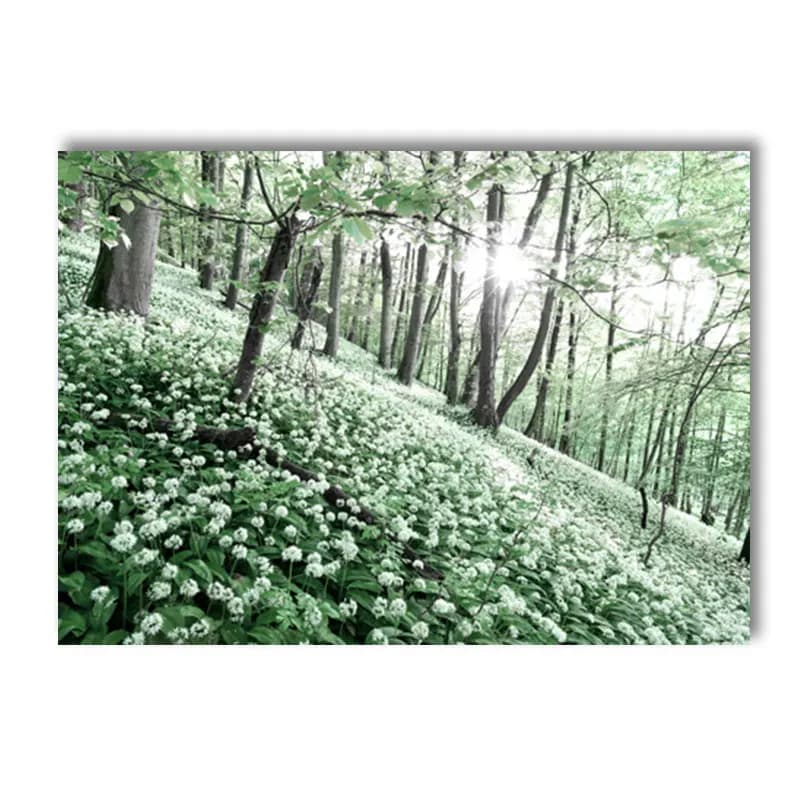 H / 20x25cm No Frame