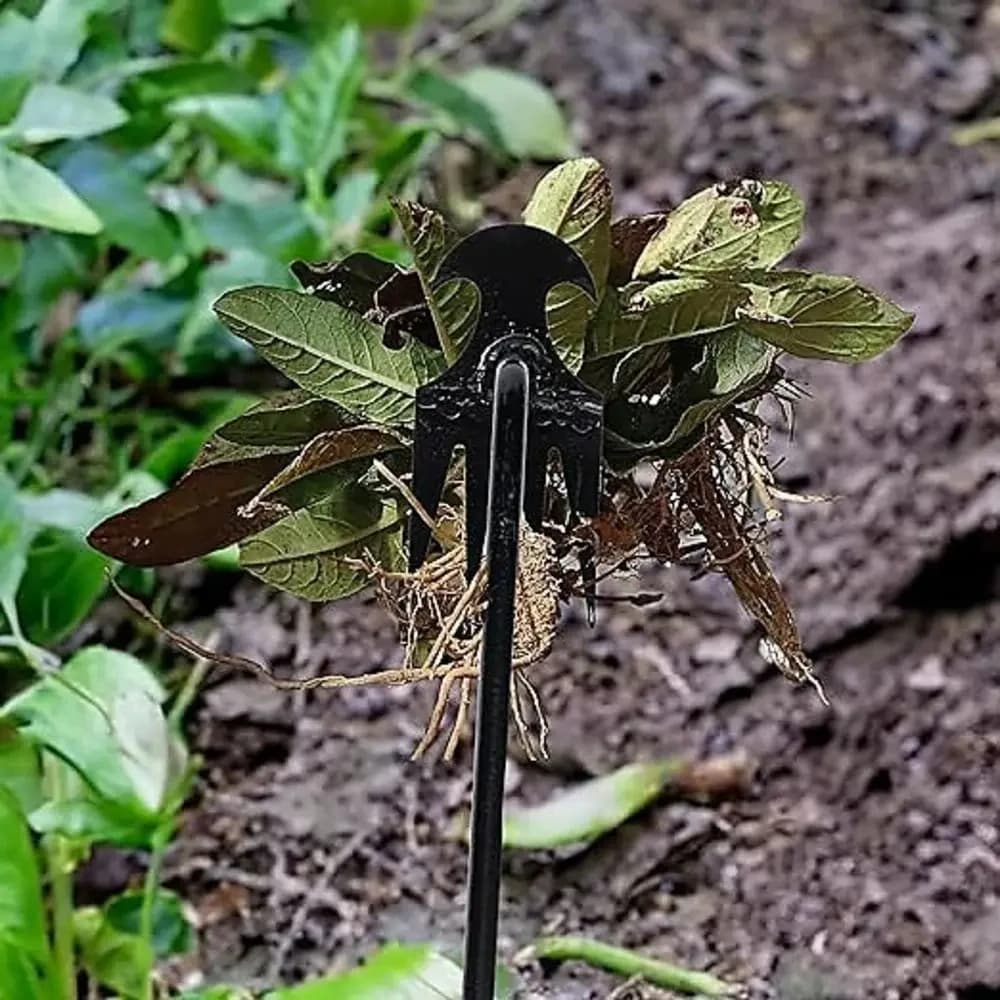 4-Tine Steel Garden Weeding Tool