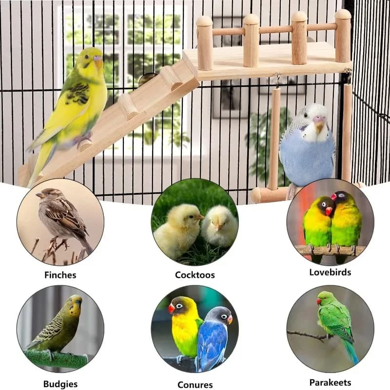 Wooden Bird Platform Swing and Climbing Ladder