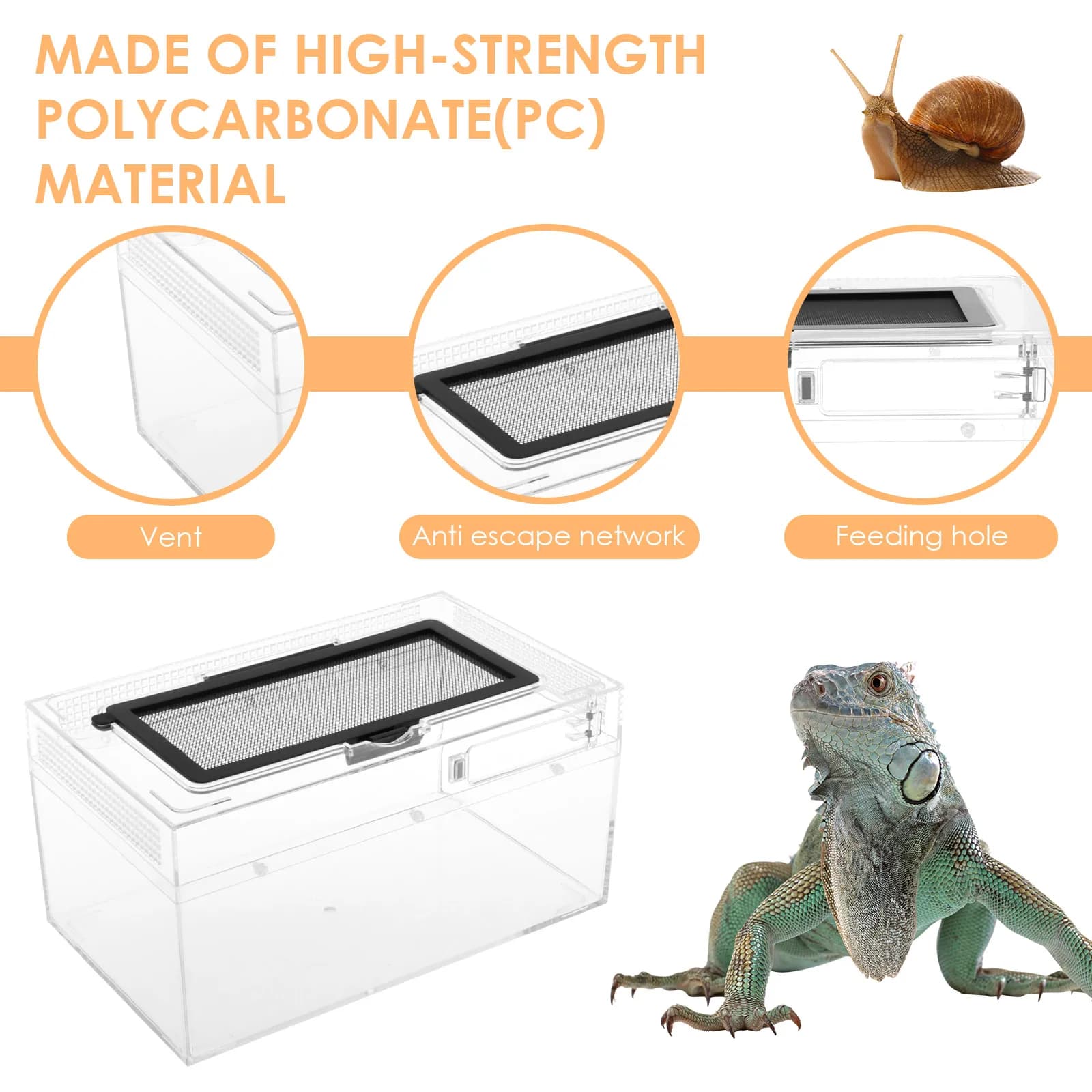 Reptile Terrarium Transparent Breeding Box Tank